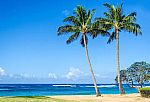 Delta Air Lines SkyMiles Flash Sale: Round trip flight from Select Cities to Hawaii from 35,000 miles