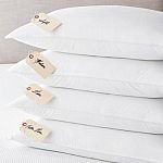 The Company Store Hypoallergenic LoftAIRE Firm Down Alternative Pillow (Standard) $26 (48% Off) & More Mattresses and Bedding + Free Shipping