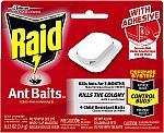 4-Count Raid Ant Baits III $1.55