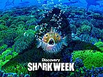 Discovery Channel Shark Week [Season 2019] $1.99