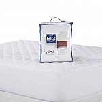 Big One Essential Mattress Pad (Queen) + 2 Pillows $13 