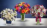 Blooms Today $40 Voucher with Shipping included $20