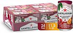 24-Pack San Pellegrino Sparkling Beverage (Pomegranate & Orange) $10.32