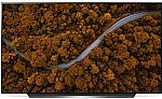 LG 77" OLED TV (OLED77CXPUA) $3000