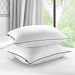 Sagino 2-Pack Plush Down Alternative Pillows $20