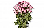 2-Dozen Whole Trade Roses $19.99 (Prime Exclusive)