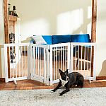 Chewy - Shop Early and Get up to 40% Off Top Brands
