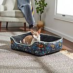 Chewy - Buy 1, Get 1 FREE Select Disney Items