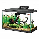 Aqueon LED 10 Gallon Aquarium Kit $39.99