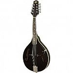 Rogue RM-100A A-Style Mandolin Black $54