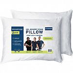 2 Pack Molecule Gel Memory Foam Pillow, Standard/Queen $20