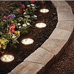 4-Count Mainstays Solar Powered Stainless Steel LED 12 Lumens Landscape Disc Lights $8.85