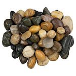 Home Depot Daily Deal - landscape rocks & Pavers, Live Goods
