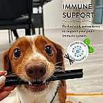 Shameless Pets Dental Treats for Dogs, The Tooth Berry $3.20