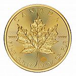 COSTCO - 2024 1 oz Canada Maple Leaf Gold Coin $2419.99