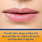 2-Pack 0.27-Oz Neosporin Lip Health Overnight Renewal Therapy Petrolatum Lip Protectant $6.10