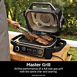 Ninja Woodfire 7-in-1 Outdoor Grill and Smoker 1760-Watt Grey Electric Grill $148