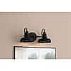 Hampton Bay Elmcroft 18.25" 2-Light Matte Black Farmhouse Vanity $22 and more