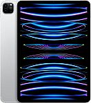 Apple 11" iPad Pro (4th Gen) M2, Wi-Fi 2TB $999