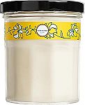 4.9-Oz 25-Hour MRS. MEYER'S CLEAN DAY Soy Aromatherapy Candle $3.79 (Reg $8.99)