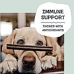 7.2-Oz Shameless Pets Toothberry Dental Chews for Dogs $3.20 (Reg $10.35)