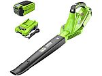Greenworks 40V Leaf Blower/Sweeper with 2.0 Ah Battery $69.99