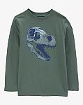 Carter's Kid Graphic Tee (Dinosaur or Flower & more) $3 and more