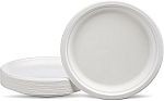 500 Count 10-inch Amazon Basics Plates $26.59