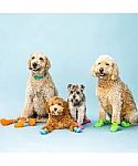 WagWear - $55 Off Sitewide + Free Shipping Wagwellies Mojave Dog Shoes for FREE + FS