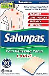 6-Count Salonpas Pain Relieving Patch (Large) $3.92
