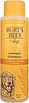 16 Fl Oz Burt's Bees for Pets Oatmeal Shampoo for Dogs $3