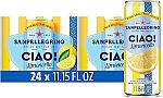 24-pack Sanpellegrino Ciao Limoncello Flavored Sparkling Water $9