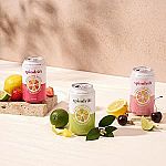 20 Count 12 fl oz Spindrift Lemonade 3 Flavor Variety $8.68